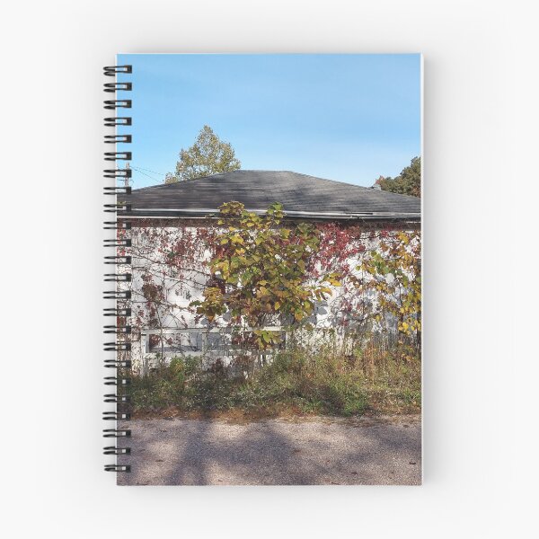 Item preview, Abandoned House Haydenville Road Hocking County Ohio ten designed and sold by tamal778.