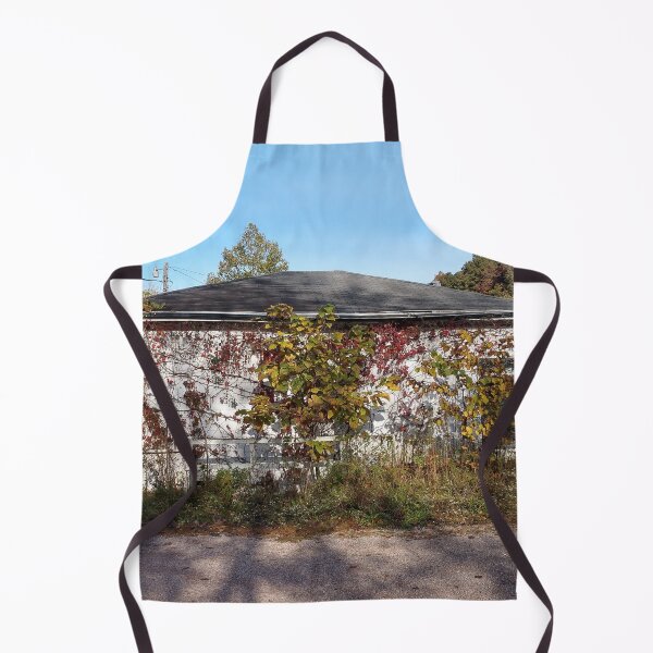 Item preview, Abandoned House Haydenville Road Hocking County Ohio ten designed and sold by tamal778.