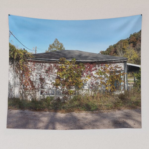 Item preview, Abandoned House Haydenville Road Hocking County Ohio ten designed and sold by tamal778.
