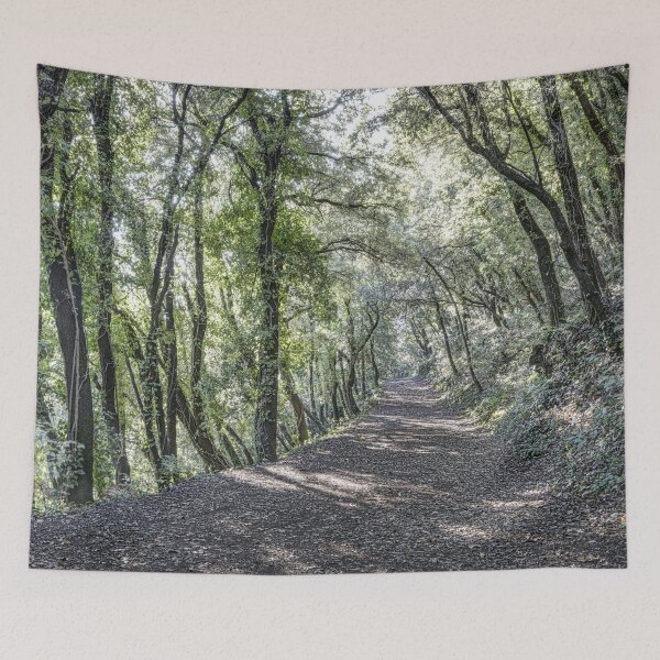 Item preview, Path Between Trees (Santa Pau, Catalonia) designed and sold by Marc Garrido Clotet.