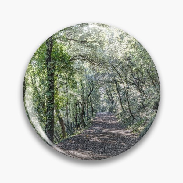 Item preview, Path Between Trees (Santa Pau, Catalonia) designed and sold by Marc Garrido Clotet.