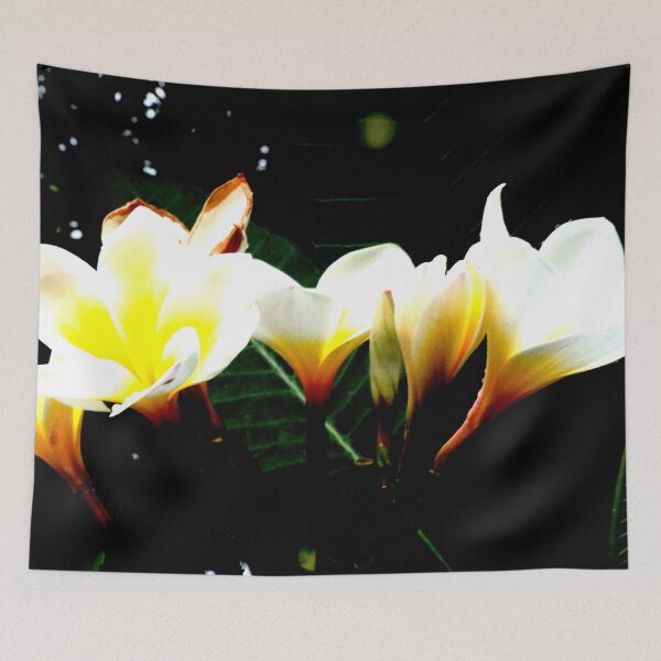Item preview, White Frangipani 3 designed and sold by Geoff Treagus.