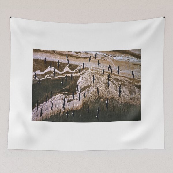 Item preview, Ibis shoreline designed and sold by victor.