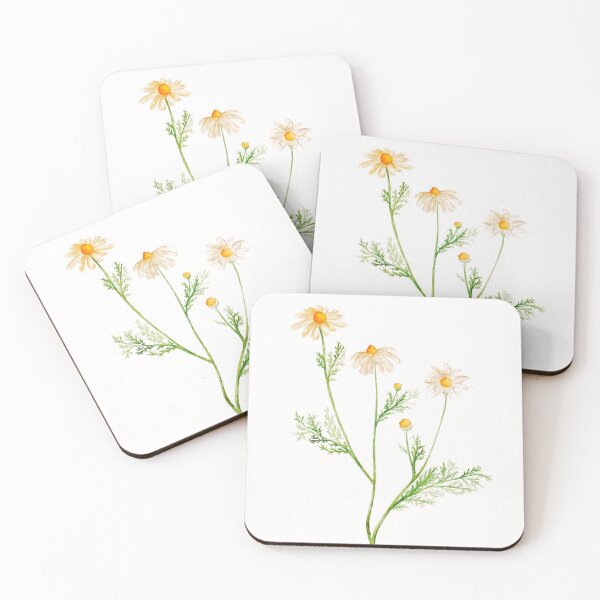 Item preview, Chamomile Chamomile botanical illustration watercolor plant nature aromatic designed and sold by mollyneons.