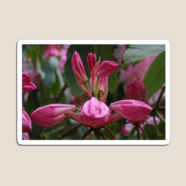 Item preview, Ready to Burst designed and sold by RedHillDigital.