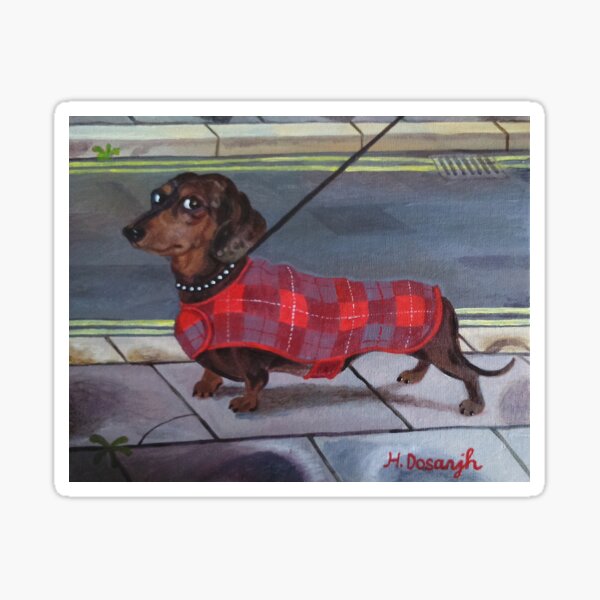 Dachshund going for a walk. Sticker