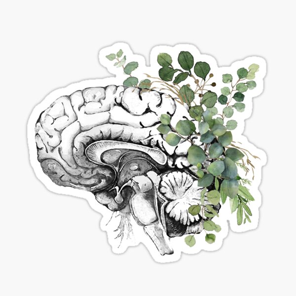 Item preview, Human brain illustration with eucaliptus leaves, brain art, psychology vintage style designed and sold by Collagedream.