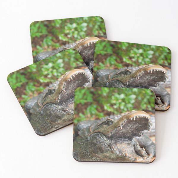 Item preview, Big Mouth Alligator designed and sold by Ruth Curtis.