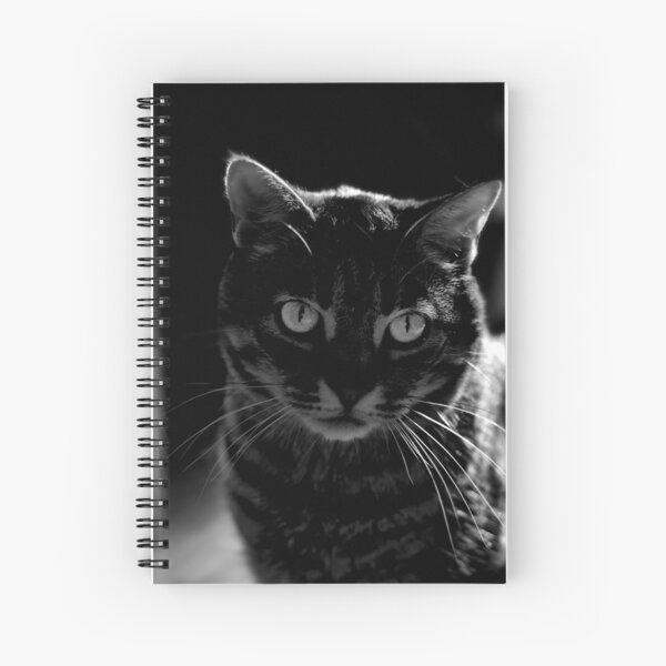 Sinister Feline Spiral Notebook