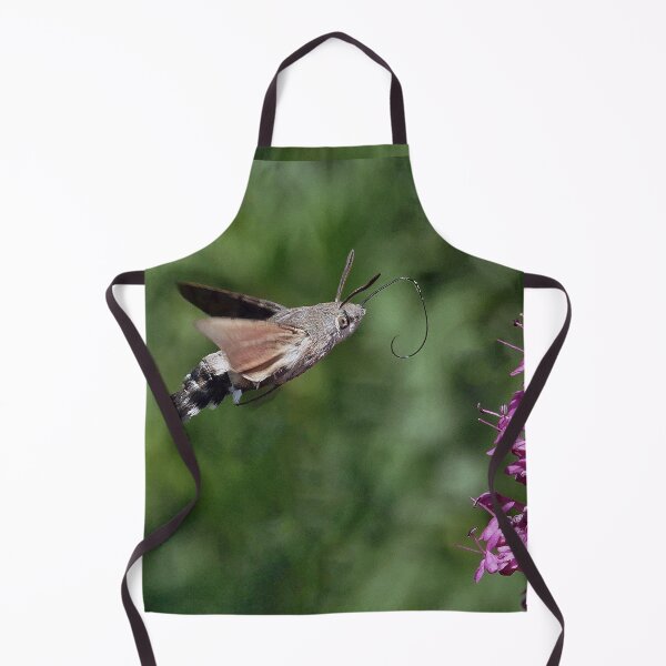 Item preview, New Finition r1577/ New Finition r1577/ Most Beautiful Photos THE SPHINX (butterfly) Never seen here 4 (c)(t) by Olao-Olavia / Okaio Créations by fz 1000 350.000 photos designed and sold by o.okaïo.