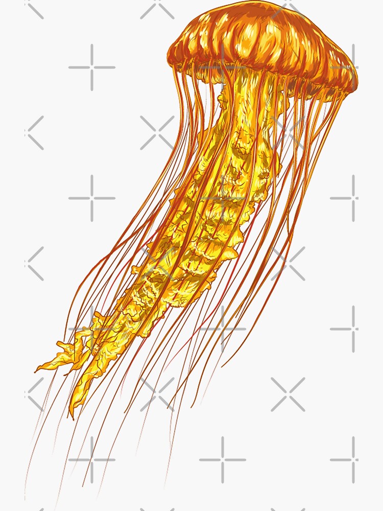 "Yellow Jellyfish" Sticker for Sale by treasurecrafts Redbubble