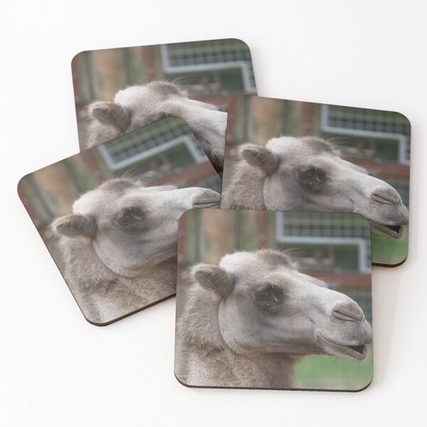 Item preview, Camel Close Up designed and sold by Fearless-Fox.