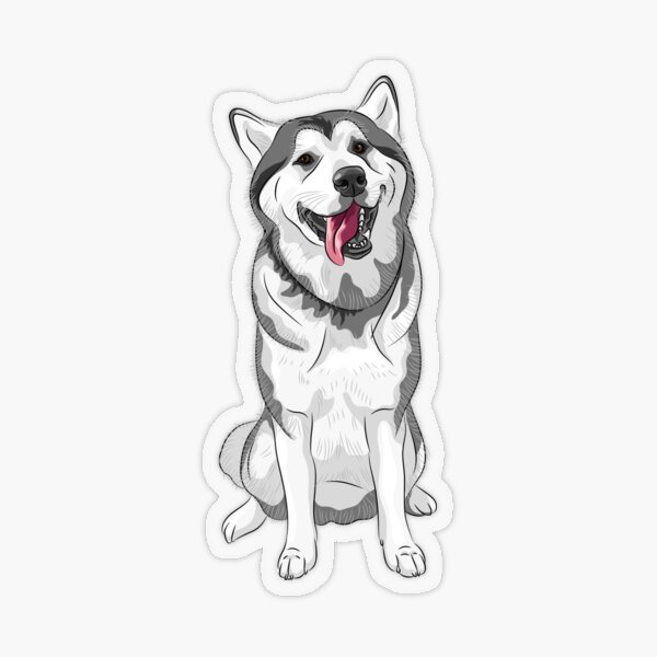 White and Grey Husky - Dog Art Transparent Sticker