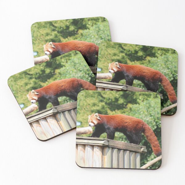 Item preview, Red Panda Stroll designed and sold by Fearless-Fox.