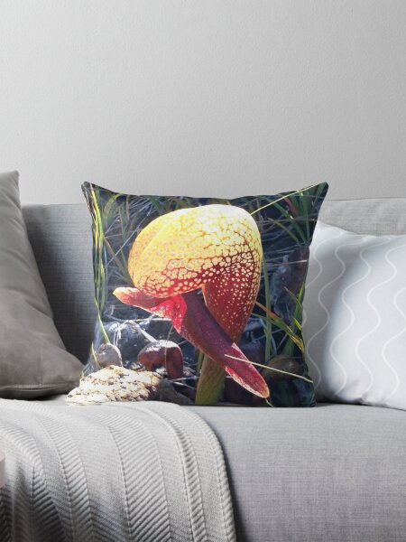 Item preview, Brilliant Darlingtonia designed and sold by JDallas63.