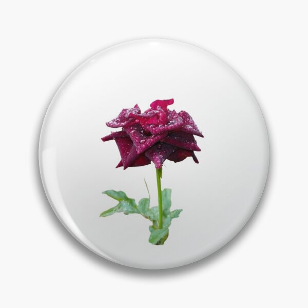 Artikelvorschau, Schöne rote Rose entworfen und verkauft von RanBanda.