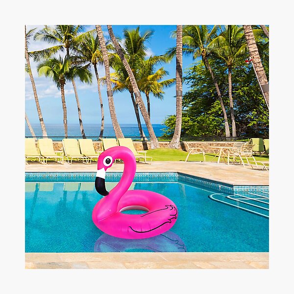 Flamingo Buoy Photographic Print