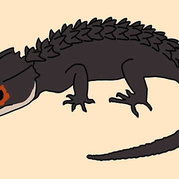 Artwork thumbnail, Red Eyed Crocodile Skink by taylorrowan