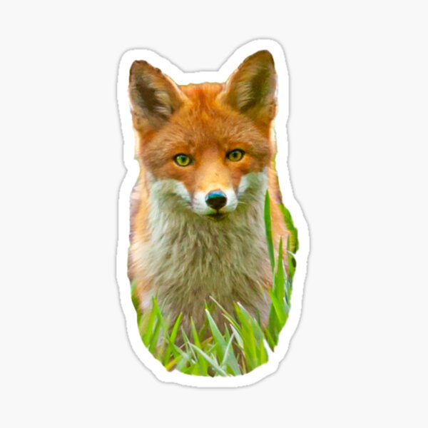 Item preview, Red fox cub designed and sold by OwlOccasions.