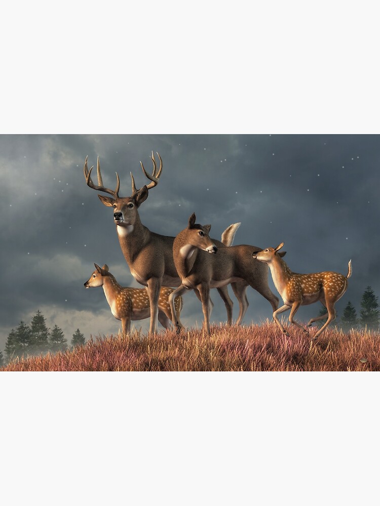 Watch Elk Chronicles - Season 3