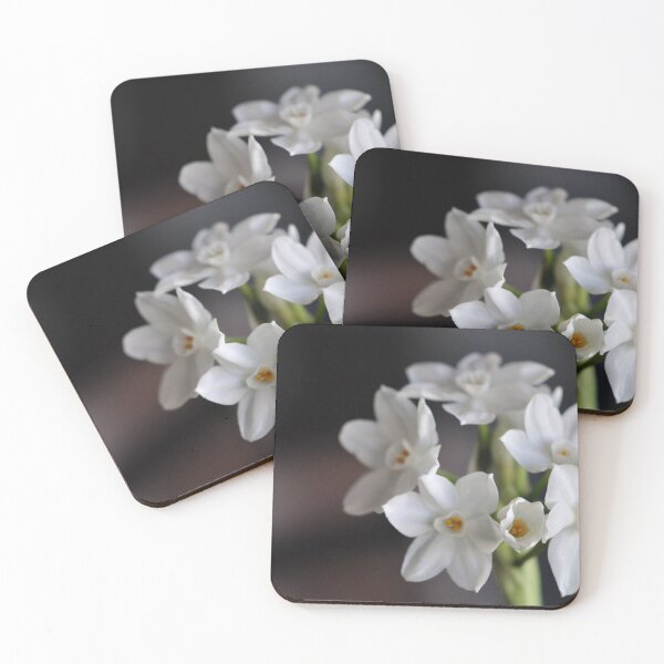 Item preview, Paperwhites designed and sold by MaryLynn.