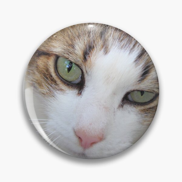 Item preview, Friendly Cat designed and sold by paulbeecham.