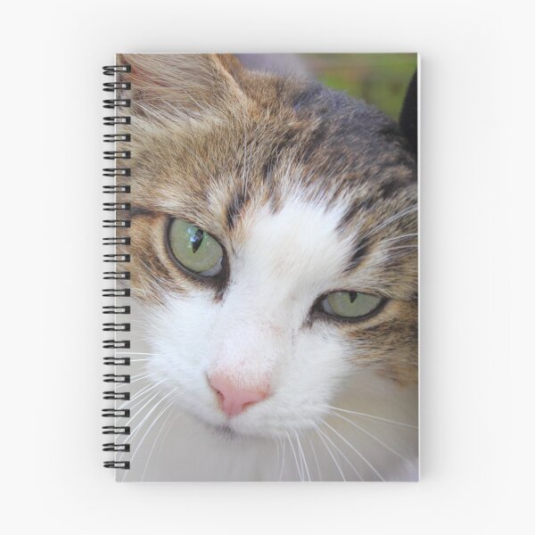 Item preview, Friendly Cat designed and sold by paulbeecham.