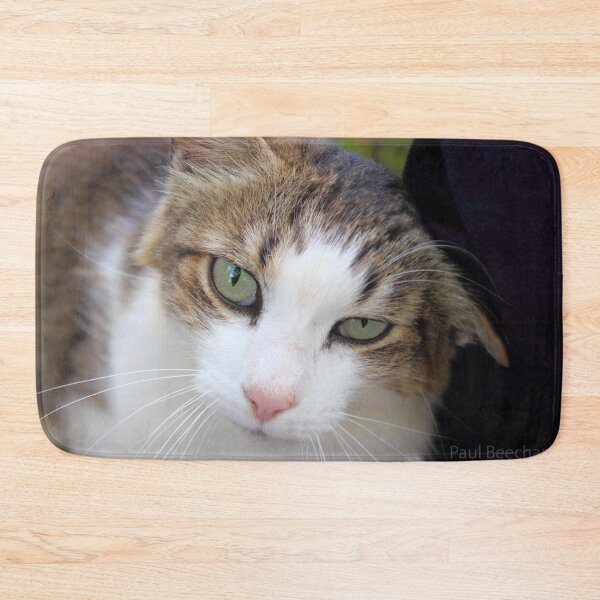 Item preview, Friendly Cat designed and sold by paulbeecham.