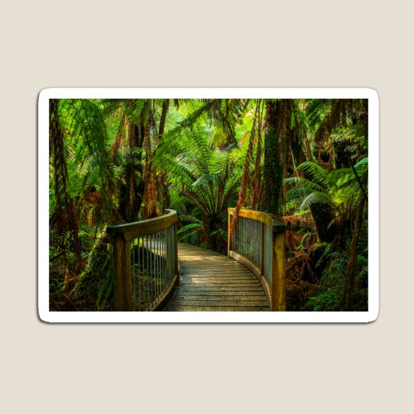 Otway Rainforest Magnet