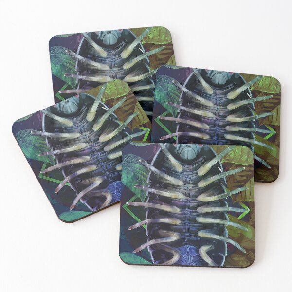 Item preview, Roly Poly - Armadillidium vulgare - Arthropoda Collection designed and sold by spikemet.