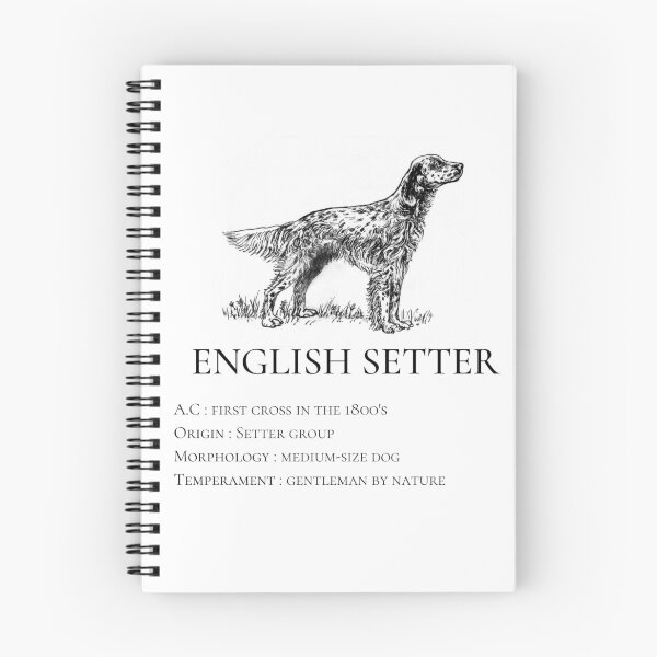 Item preview, English Setter designed and sold by AstroQueen.