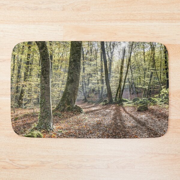 Item preview, Fageda d’en Jordà, Autumn 2016 (Catalonia) designed and sold by Marc Garrido Clotet.