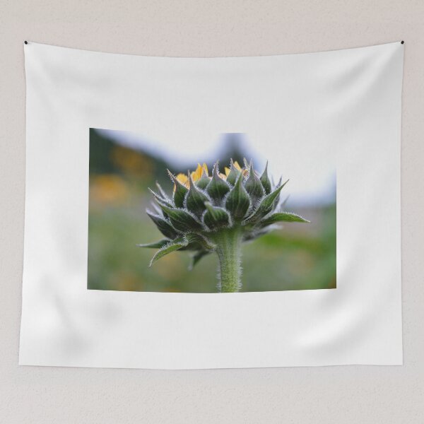 Item preview, sunflower macro designed and sold by Adam Lo Cicero.