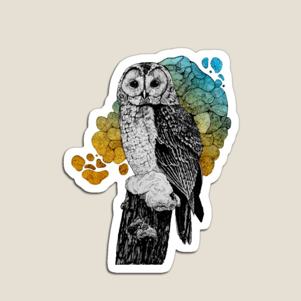 Item preview, Barred owl in color designed and sold by NickRileyArt.