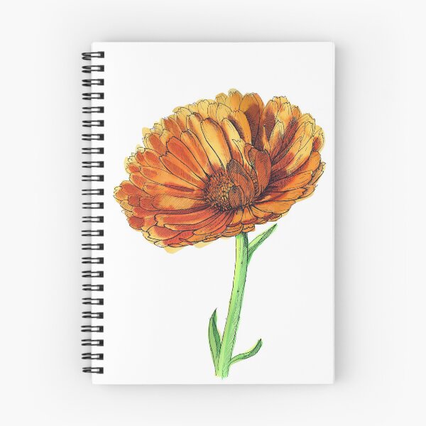 Item preview, calendula designed and sold by Egle Kristensen.