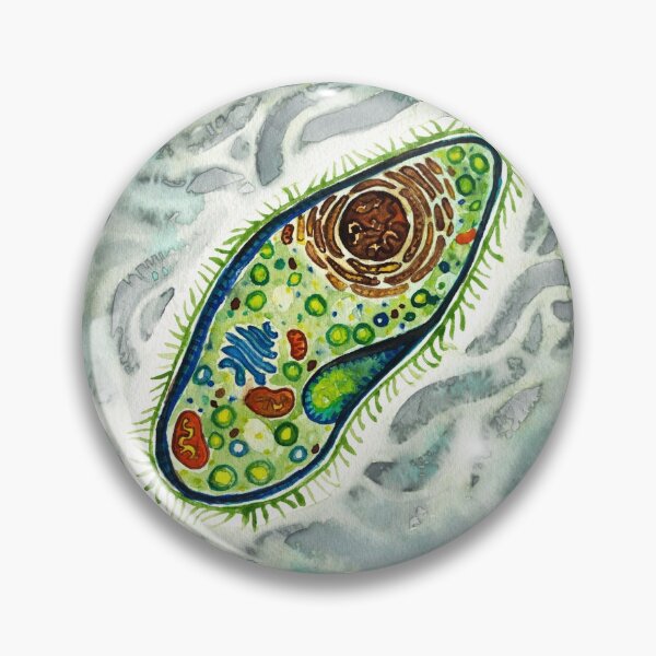 Item preview, Paramecium Under Microscope - Watercolor designed and sold by VivtheFish.