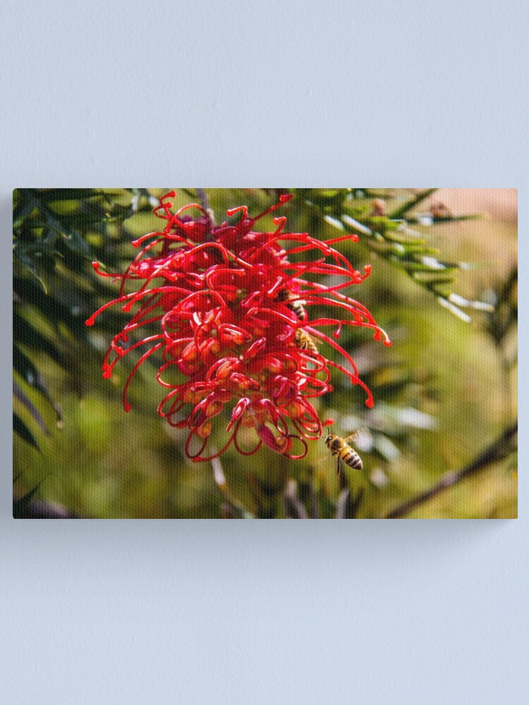 Alternate view of bees to the honey Canvas Print