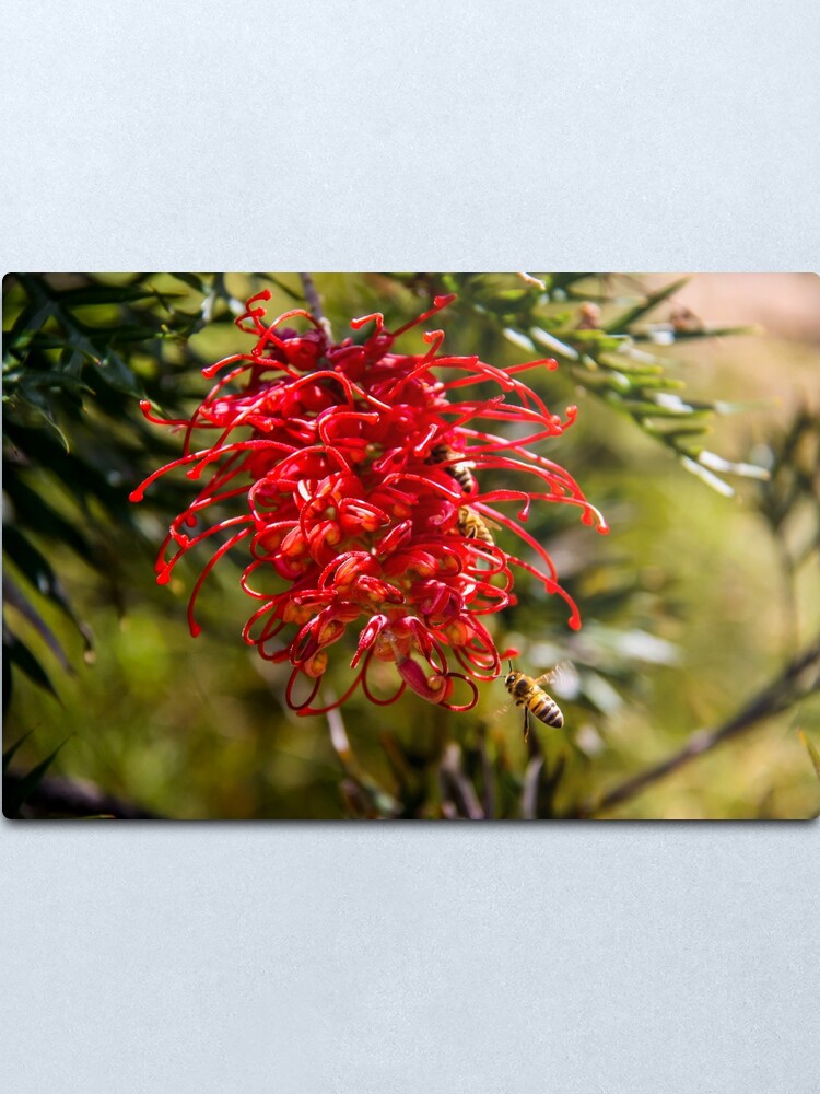 Alternate view of bees to the honey Metal Print
