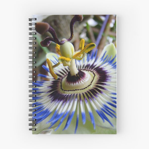 Item preview, the passion designed and sold by Jan Stead JEMproductions.