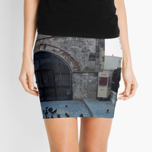 pink skirt viejo san juan