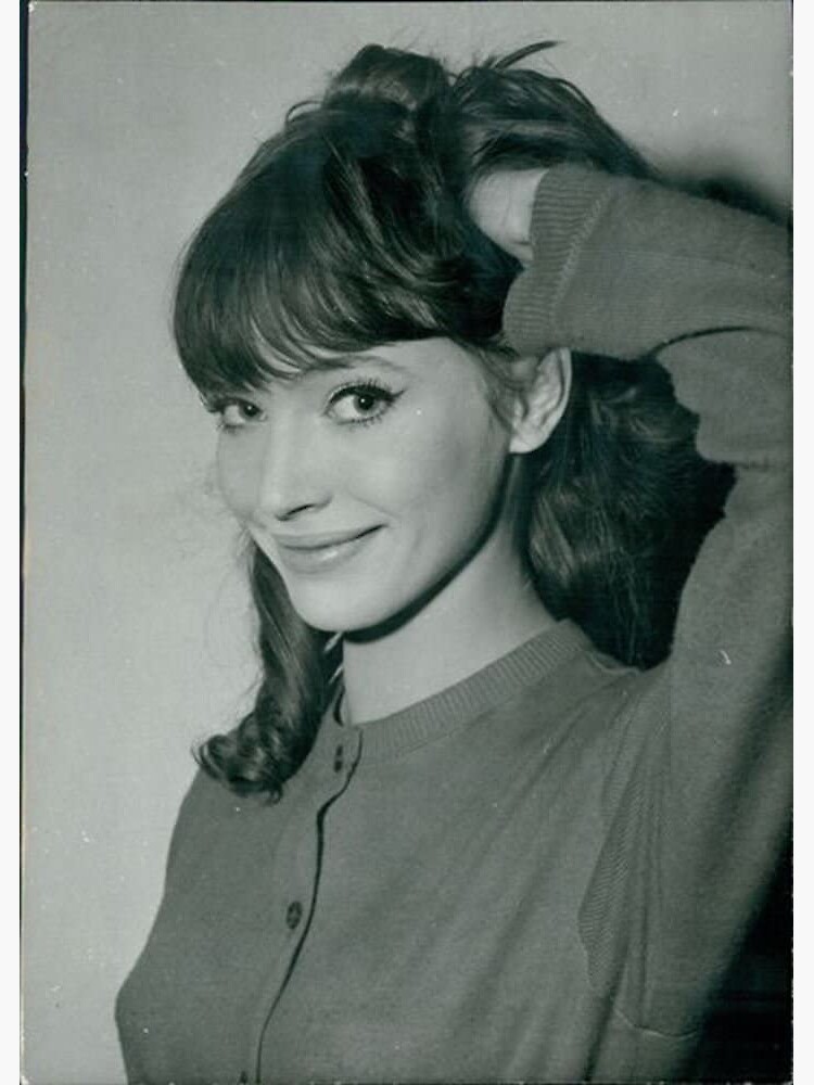 Anna Karina Photoshoot Sticker For Sale By Teejayredbubble Redbubble 0804