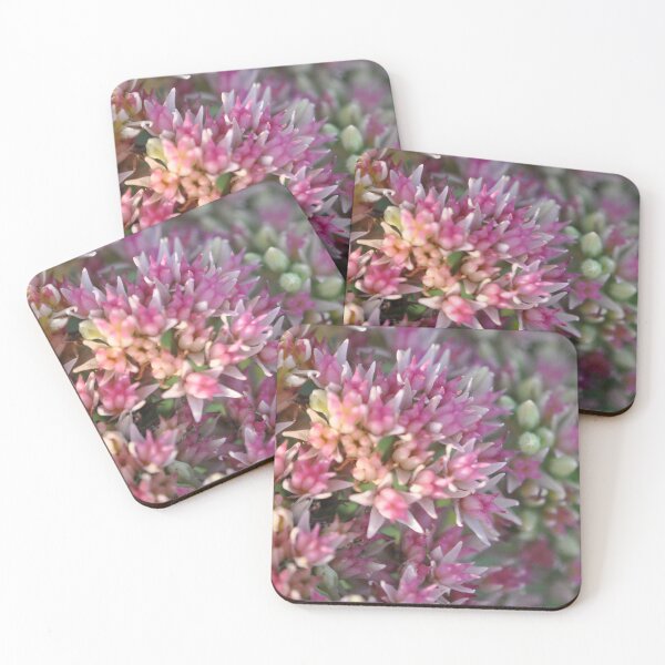 Item preview, Sedum designed and sold by MaryLynn.
