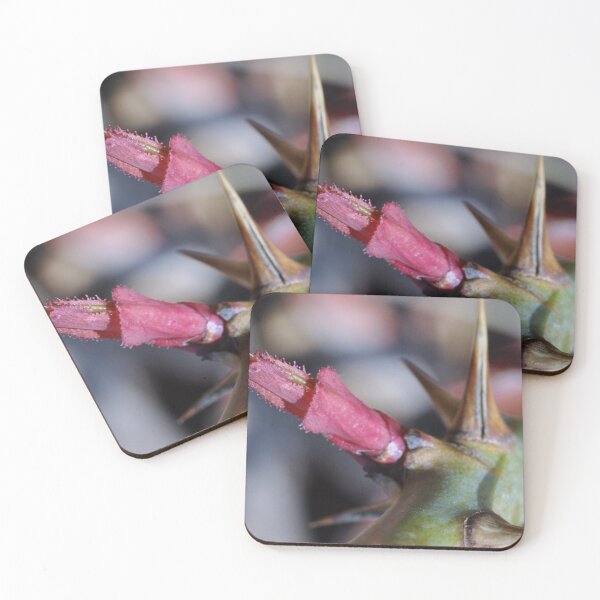 Item preview, Roses and Thorns.... designed and sold by MaryLynn.