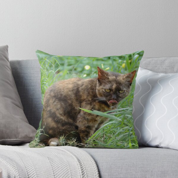 Item preview, Bad Kitty designed and sold by TweeLoot.