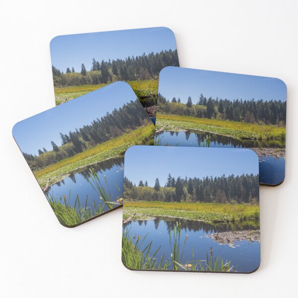 Item preview, Reflection of a woodland on Beaver Lake in summer in Stanley Park, Vancouver designed and sold by SnapTPhotograph.