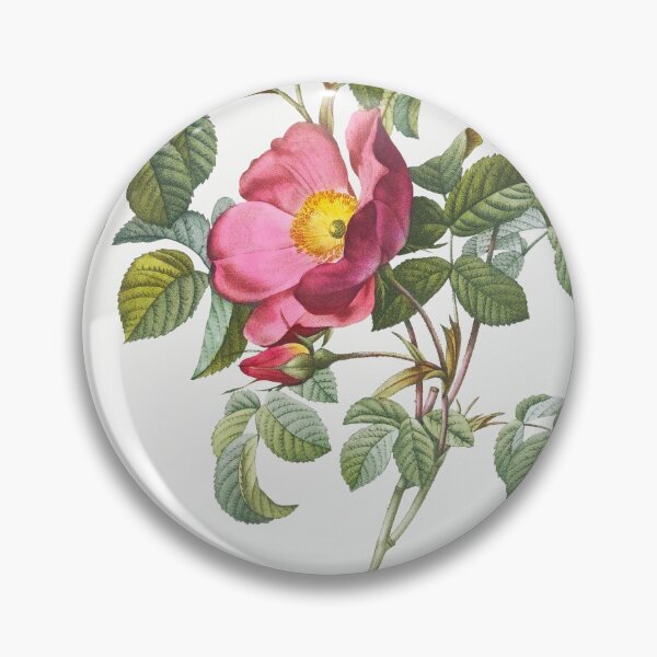 Item preview, Les Roses by Pierre-Joseph Redouté designed and sold by EsotericBotanic.