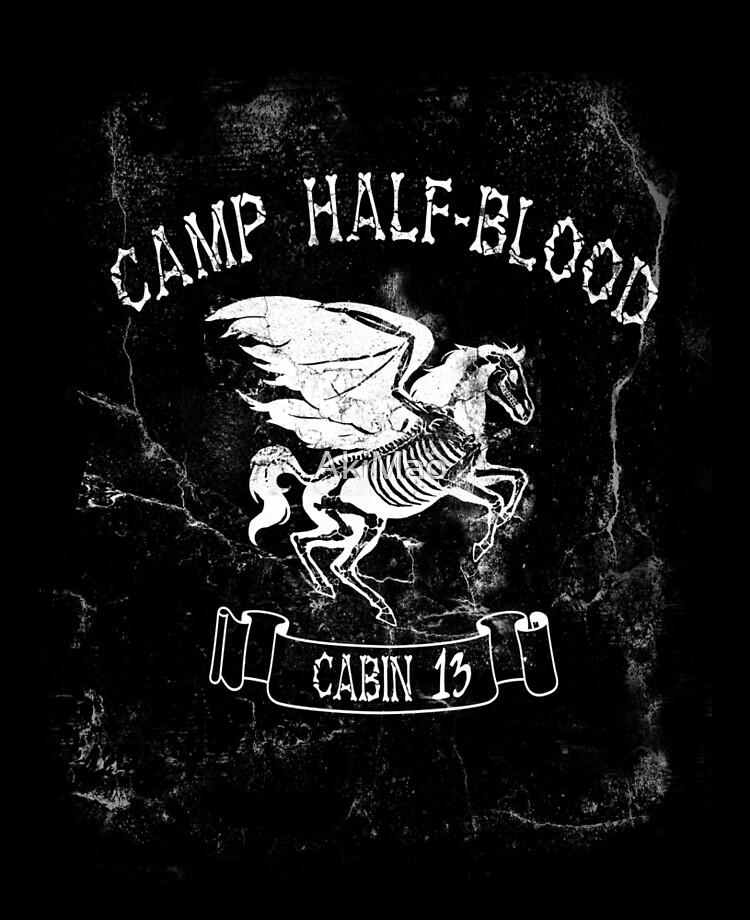 Cabin Thirteen - camp half-blood 2 iPad Case & Skin for Sale by AkiMao