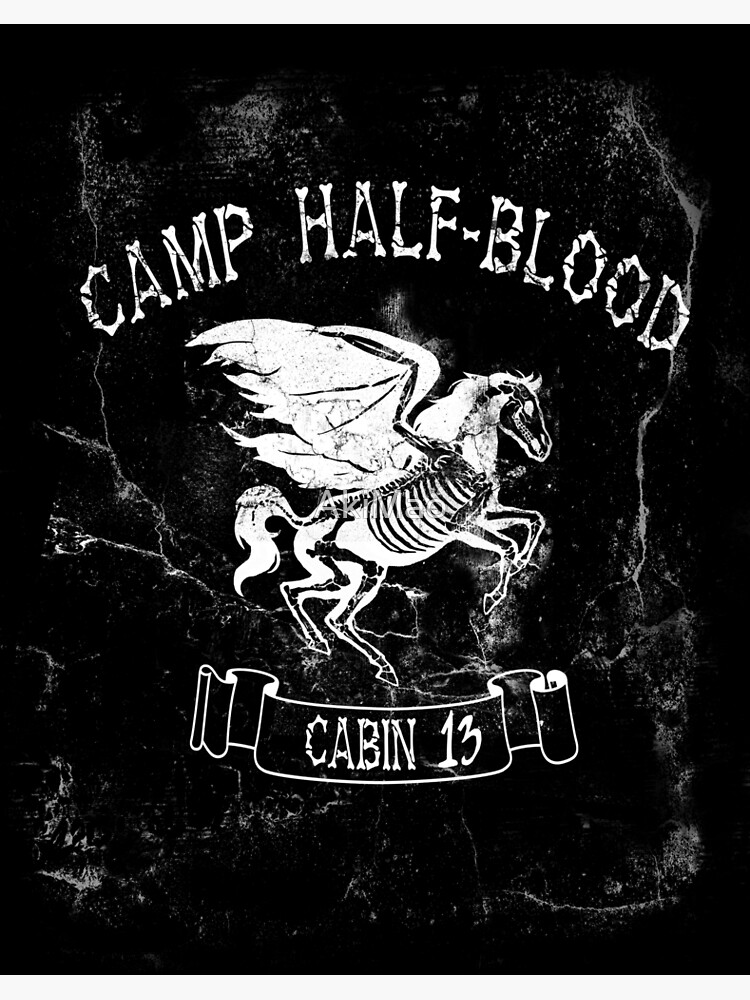 Cabin Thirteen - camp half-blood 2 Poster for Sale by AkiMao