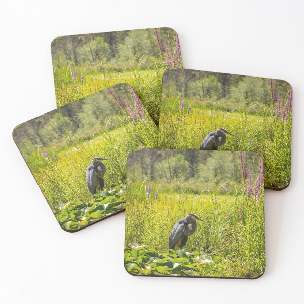Item preview, A heron fishing at Beaver Lake, Stanley Park, Vancouver designed and sold by SnapTPhotograph.