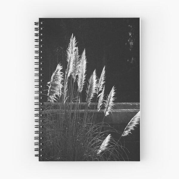 Item preview, Reeds and stones. designed and sold by Paul Pasco.